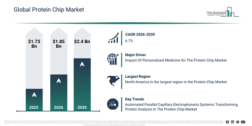 Global Protein Chip Market 2026–2030: Forecast Insights for Business Planning
