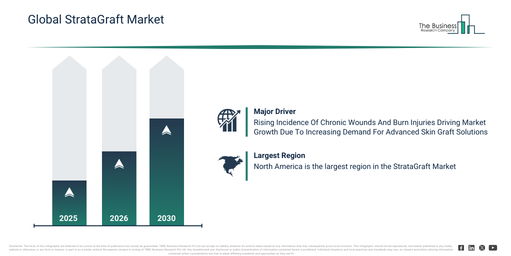 StrataGraft Market 2026–2030: Forecasting Business Opportunities Ahead