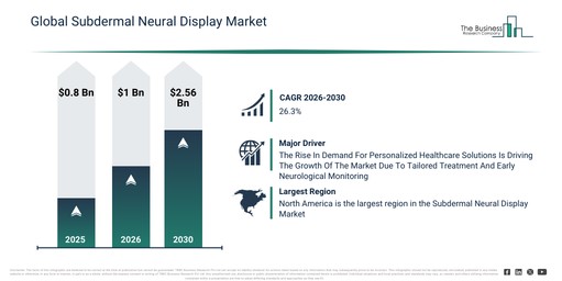 Global Subdermal Neural Display Market