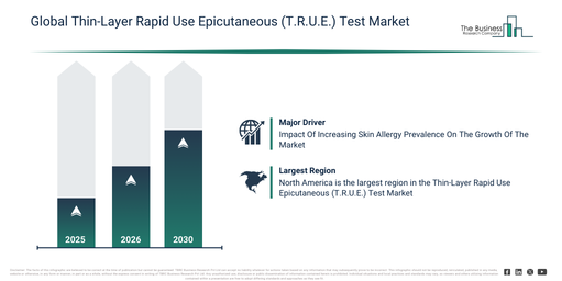 Global Thin-Layer Rapid Use Epicutaneous (T.R.U.E.) Test Market