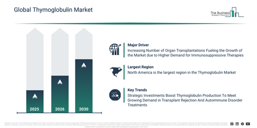 Thymoglobulin Market Outlook 2026–2035: Growth Drivers and Industry Forecast
