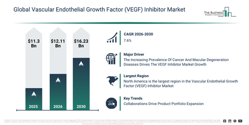 Global Vascular Endothelial Growth Factor (VEGF) Inhibitor Market