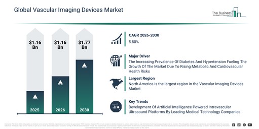 Global Vascular Imaging Devices Market