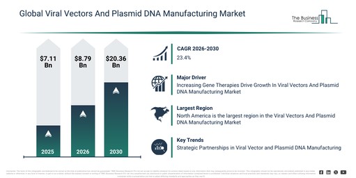 Global Viral Vectors And Plasmid DNA Manufacturing Market
