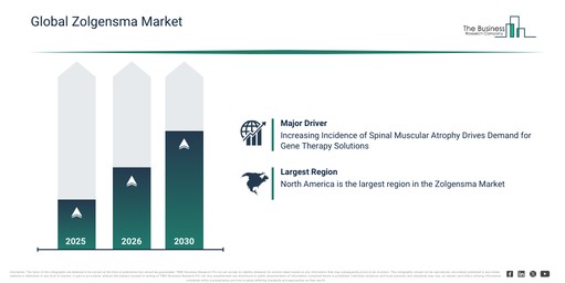 Zolgensma Market 2026–2030: Forecasting Business Opportunities Ahead