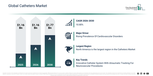Global Catheters Industry Insights: Key Trends and Growth Estimates