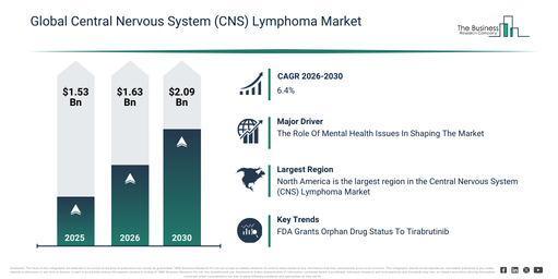 CNS lymphoma market insights on opportunities