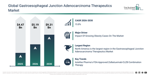 Global Gastroesophageal Junction Adenocarcinoma Therapeutics Market