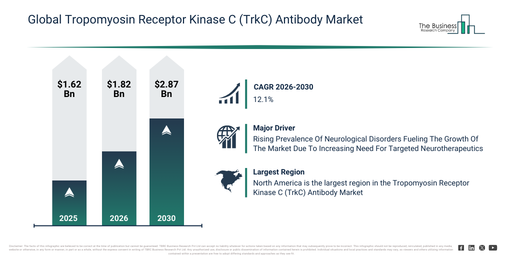 Global Tropomyosin Receptor Kinase C (TrkC) Antibody Market Global Report 2026 Market