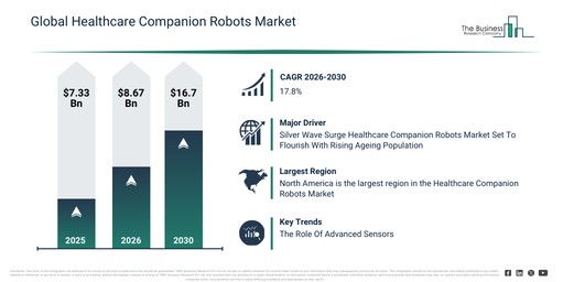 Global Healthcare Companion Robots Market Global Report 2026 Market