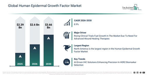 Human Epidermal Growth Factor Market Insights Highlighting Opportunities and Drivers Supporting Growth to 2030