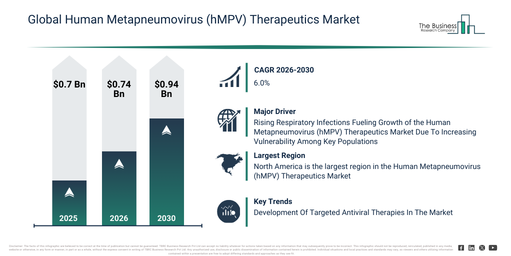 Global Human Metapneumovirus (hMPV) Therapeutics Market Global Report 2026 Market