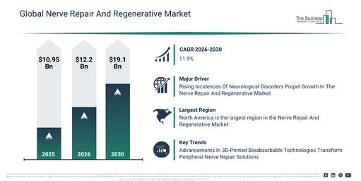 An Important Factor Driving the Nerve Repair And Regenerative Market Is the Rising Incidences Of Neurological Disorders Propel Growth In The Nerve Repair And Regenerative Market