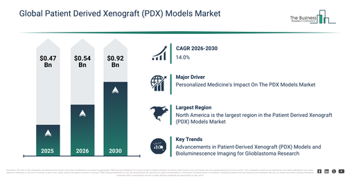 Global Patient Derived Xenograft (PDX) Models Market Global Report 2026 Market