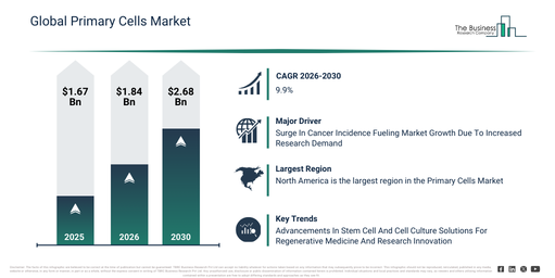 Primary Cells Market Growth Prospects 2026–2030 with Innovation Trends and Competitive Landscape