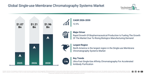 Global Single-use Membrane Chromatography Systems Market