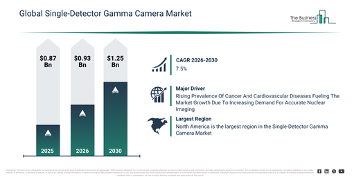Single-Detector Gamma Camera Market