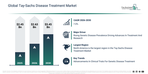 Global Tay-Sachs Disease Treatment Market Global Report 2026 Market