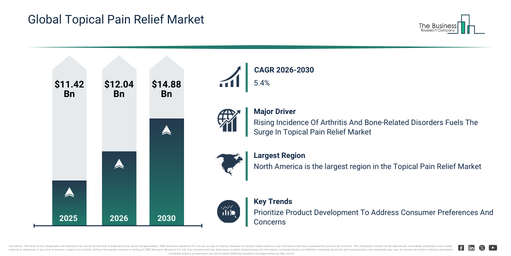 Global Topical Pain Relief Market Global Report 2026 Market
