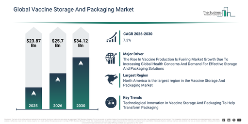 Global Vaccine Storage And Packaging Market Global Report 2026 Market