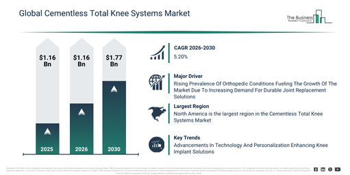 Global Cementless Total Knee Systems Market