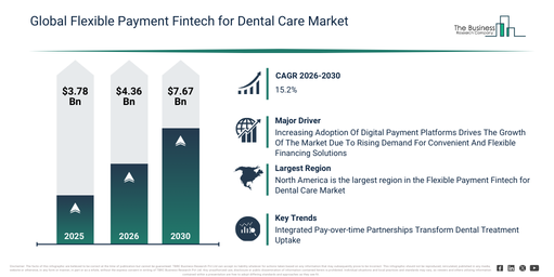 Flexible Payment Fintech for Dental Care Market Analysis Through 2030 Focusing On Demand Trends And Growth Drivers