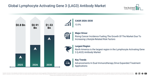 Global Lymphocyte Activating Gene 3 (LAG3) Antibody Market Set To Expand To $70.07 Billion By 2030 At 5.8% CAGR