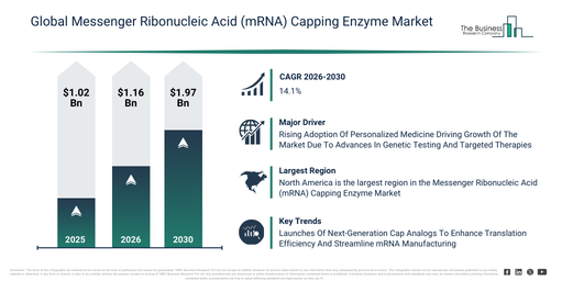 Messenger Ribonucleic Acid (mRNA) Capping Enzyme Market Growth Analysis 2026–2030 Highlighting Innovation And Competitive Landscape