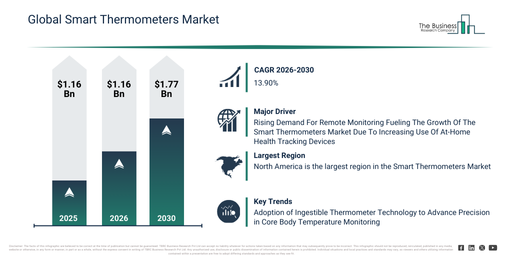 Global Smart Thermometers Market