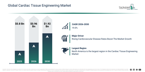 Cardiac Tissue Engineering Market Growth Is Accelerating As Industry Transformation Continues