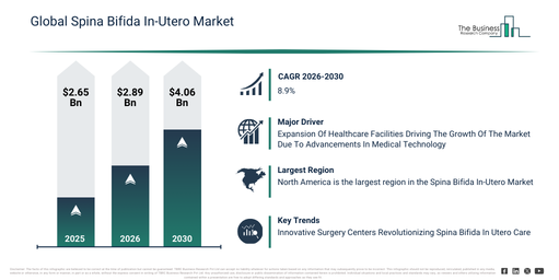 Global Spina Bifida In-Utero Market