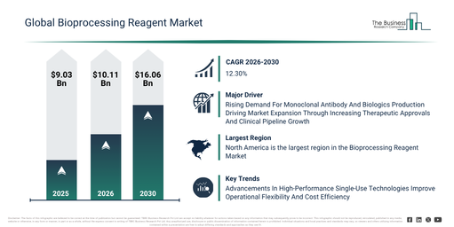 Bioprocessing Reagent Market Forecast Reveals Where Future Industry Value Will Be Created