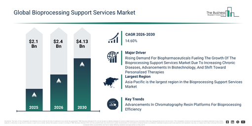 Bioprocessing Support Services Market Report