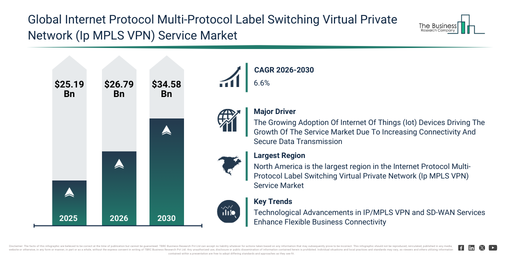 Internet Protocol Multi-Protocol Label Switching Virtual Private Network (Ip MPLS VPN) Service Market Report